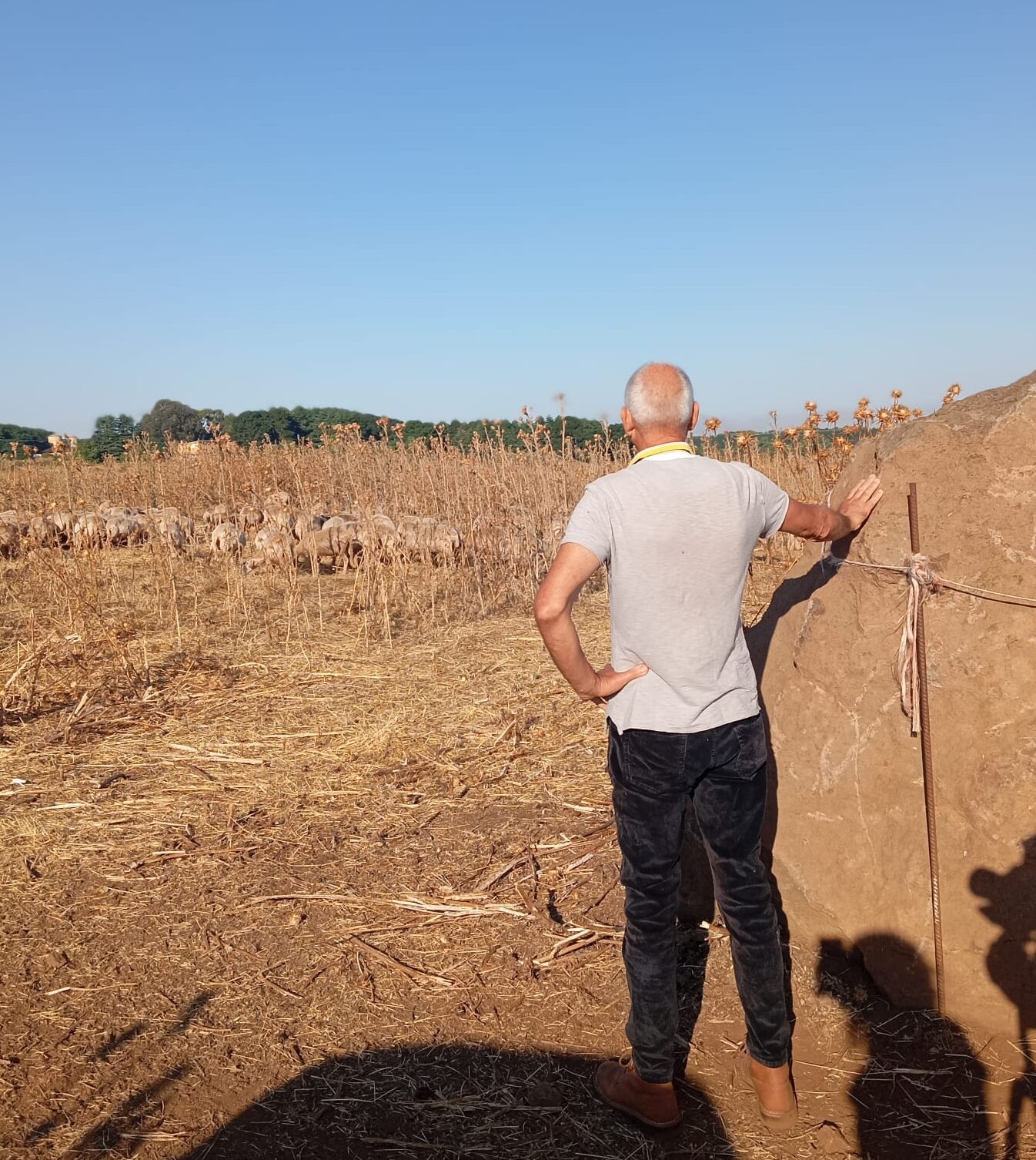 Fiore Sardo e Tradizione: Gianfranco Bussu, Macomer